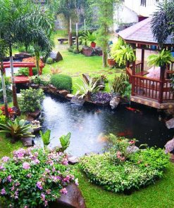 Thiết kế hồ Koi anh Lam